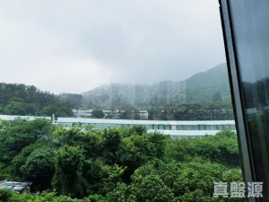 17709189189a8ea1f7-e707-48c4-977e-78119df2b1d1.jpeg 翠濤閣 3座 - 28NTS – 香港北部都會區