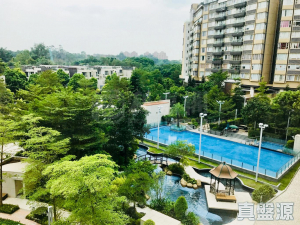 1770918978ef789372-54d1-4727-b891-2cfaa64c794a.jpeg 星堤 10座 - 28NTS – 香港北部都會區