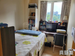 17709189846ba7c1c2-40f9-448f-aed9-662766e2779b.jpeg 星堤 10座 - 28NTS – 香港北部都會區