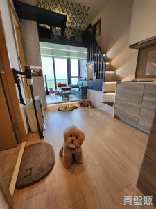 1770919601b891f448-1c34-476f-b1ae-0768b1432b7f.jpeg 明翹匯 2座 - 28NTS – 香港北部都會區