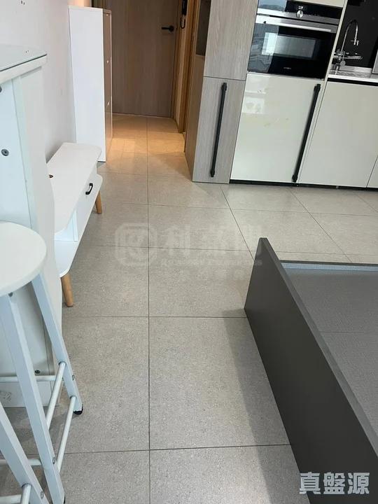 瑧頤 - 28NTS – 香港北部都會區