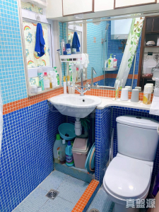 1770921327c200d490-5bba-4408-8689-47a6789b5843.jpeg 好旺洋樓 - 28NTS – 香港北部都會區