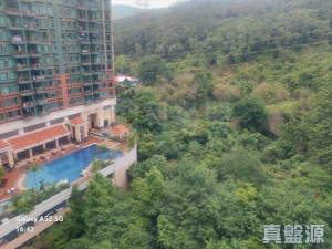 17709217900ff1ced7-05e5-4b62-adfd-3651bbfd5435.jpeg 朗逸峰 - 28NTS – 香港北部都會區