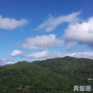 1770922206c35d64ea-f823-4081-a5e1-5c7d2cf7a2f5.jpeg 朗逸峰 1期 5座 - 28NTS – 香港北部都會區