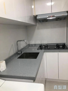 17709263218da78bc9-0cbc-4f84-a5a5-7626c053f3d5.jpeg 希爾頓中心 A座 - 28NTS – 香港北部都會區