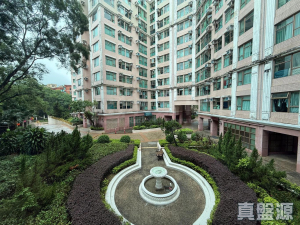 17709288717640cef9-78a2-479a-8410-4fbd2a0065a2.jpeg 新峰花園 4期 御峰豪園 25座 - 28NTS – 香港北部都會區