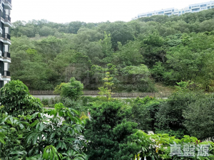 1770933561c546575d-9b02-4ab3-84a8-56ff98f374f1.jpeg 玖瓏山 傲瓏閣 第2座 - 28NTS – 香港北部都會區