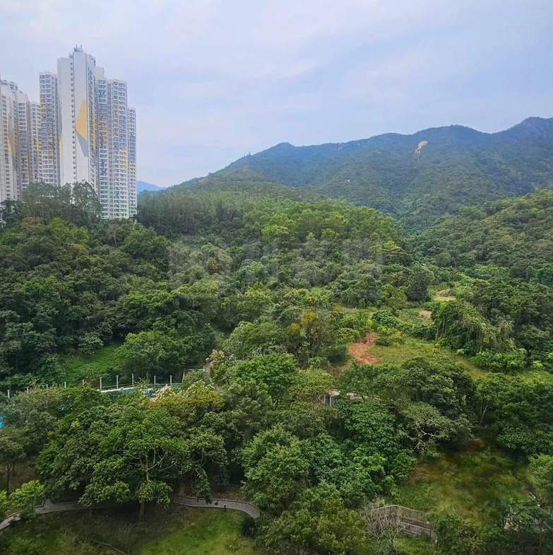 嵐山 1期 7座 - 28NTS – 香港北部都會區