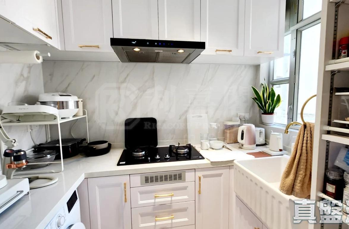 錦豐苑 錦荷閣 (H座) - 28NTS – 香港北部都會區