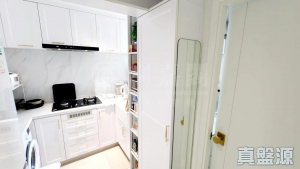 177093657005ad0522-3c77-465b-9ff4-5b5ea141f59f.jpeg 錦豐苑 錦荷閣 (H座) - 28NTS – 香港北部都會區