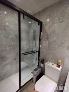 1770936910c03dfb3f-bd5c-4338-8b62-96d688292c0c.jpeg 嵐岸 6座 - 28NTS – 香港北部都會區