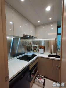 17709369198e45d1a0-3dc0-4204-9939-231b8bd4bccb.jpeg 嵐岸 6座 - 28NTS – 香港北部都會區