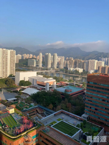 17709378117567219b-57f8-4687-8eff-b47497fae428.jpeg 偉華中心 2座 - 28NTS – 香港北部都會區