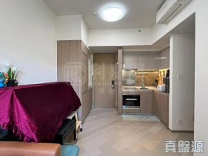 1770938100c3e71cb8-a6e6-42d0-bb69-2bfc573cd8ed.jpeg 泓碧 3座 - 28NTS – 香港北部都會區