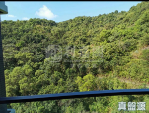 1770939330a44ba463-d3ea-4145-b1ea-c3ab9c1df367.jpeg 玖瓏山 天瓏閣 第2座 - 28NTS – 香港北部都會區