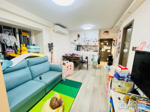 17709448769e904d9d-5890-4869-bf0c-e65c0aecce28.jpeg 好運中心 棕林閣 (B1座) - 28NTS – 香港北部都會區