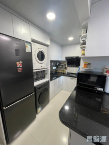 1770945693235e1066-bd60-43a6-a9c1-e0d19a4d1f1c.jpeg 新城市廣場 3期 紅棉閣 (5座) - 28NTS – 香港北部都會區