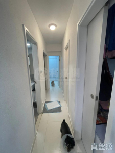 177094569955803dfe-71b0-40c0-9f9d-4b4ea93cbea9.jpeg 新城市廣場 3期 紅棉閣 (5座) - 28NTS – 香港北部都會區