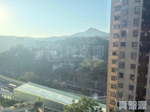 17709485299f60d2ba-5299-4219-ae5a-1c9fc5bffb93.jpeg 新城市廣場 3期 紅棉閣 (5座) - 28NTS – 香港北部都會區