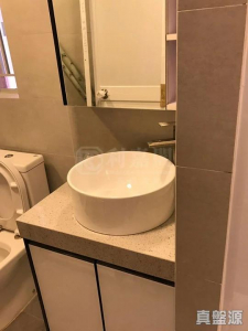 177094968375c91df1-946d-49b9-9541-539de070bd5e.jpeg 錦豐苑 錦蘭閣 (J座) - 28NTS – 香港北部都會區