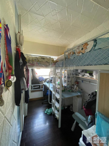 177095195794399dad-48d6-42e9-9c93-b50bfdb118e0.jpeg 碧濤花園 2期 富臨閣 (B座) - 28NTS – 香港北部都會區