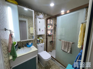 177095196204809739-c723-4eff-9b7d-21c4f77d54f6.jpeg 碧濤花園 2期 富臨閣 (B座) - 28NTS – 香港北部都會區