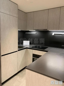 1770952491d35a9aaf-f501-4f8a-a713-b6ac34d72e5e.jpeg 朗濤 9B座 - 28NTS – 香港北部都會區