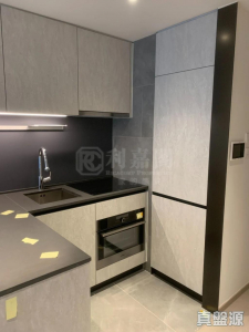 17709524941b08d539-c686-4f72-b490-ba39445dfb13.jpeg 朗濤 9B座 - 28NTS – 香港北部都會區