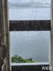 17709561770fe48b32-8193-4914-92e2-9587eea1dc53.jpeg 錦泰苑 錦盛閣 (D座) - 28NTS – 香港北部都會區