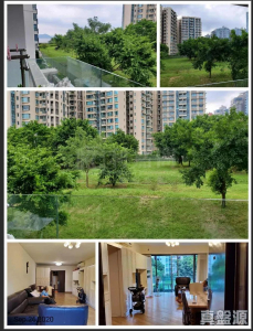 177095626244a28697-090c-4152-b0ee-d1a87cf4a0aa.jpeg 天賦海灣 3期 海鑽 9座 - 28NTS – 香港北部都會區