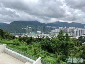 177095689240a0d55d-34b3-4657-bc85-abfce2821aa4.jpeg 澐灃 - 28NTS – 香港北部都會區