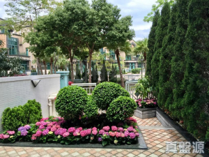 1770957642b6352c0a-c44d-403a-b933-d031bfb9136e.jpeg 淺月灣 1期 - 28NTS – 香港北部都會區