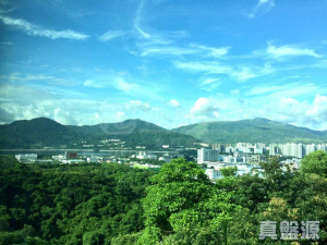 1770957649e14bb7f1-a177-443e-99d0-bfcb81dcf573.jpeg 淺月灣 1期 - 28NTS – 香港北部都會區