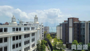 17709806854202a789-9a7d-492b-9050-b2a4ced25194.jpeg 滿名山 - 28NTS – 香港北部都會區