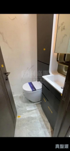 177133022742c41303-6d24-4536-abb7-079ab7325eb3.jpeg 帝御 2期 帝御‧星濤 2座 - 28NTS – 香港北部都會區