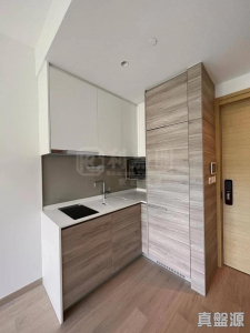 17713336807b92081b-f3e3-426d-a0fc-b94ad9edd188.jpeg 明翹匯 2A座 - 28NTS – 香港北部都會區