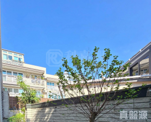 1771341982353b71d8-6e90-4f12-8953-7905a7311be9.jpeg 大美督222 - 28NTS – 香港北部都會區