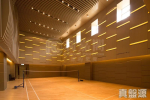 1771342161997ecfdc-2b56-4079-837b-71642196213c.jpeg 歌賦嶺 - 28NTS – 香港北部都會區