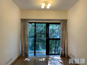 1771342776a3341985-c214-4bc4-9251-c739f9ef1f82.jpeg 壹號雲頂 2期 雲頂峰 雲頂峰 - 28NTS – 香港北部都會區