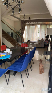 17713462690089900c-1ed8-4c70-9ce1-87fb65faf30e.jpeg 歌賦嶺 - 28NTS – 香港北部都會區