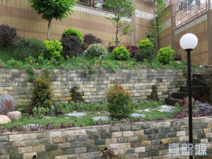 17713463848d679f8e-367c-48ba-870e-8b1960065d4c.jpeg 邁爾豪園 - 28NTS – 香港北部都會區