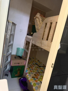 17713465471e1209bd-bc15-40ce-9bc0-4931cfd5ad49.jpeg 翠林 - 28NTS – 香港北部都會區