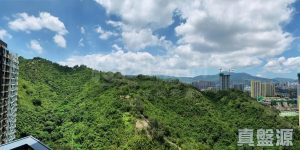 17713575049fd35c57-06aa-4c7e-ac0c-2e5f2e2d7103.jpeg 明翹匯 2A座 - 28NTS – 香港北部都會區