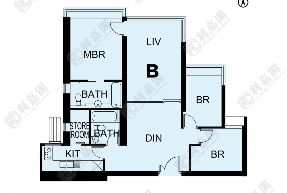 藍天海岸 1期 1座 - 28NTS – 香港北部都會區
