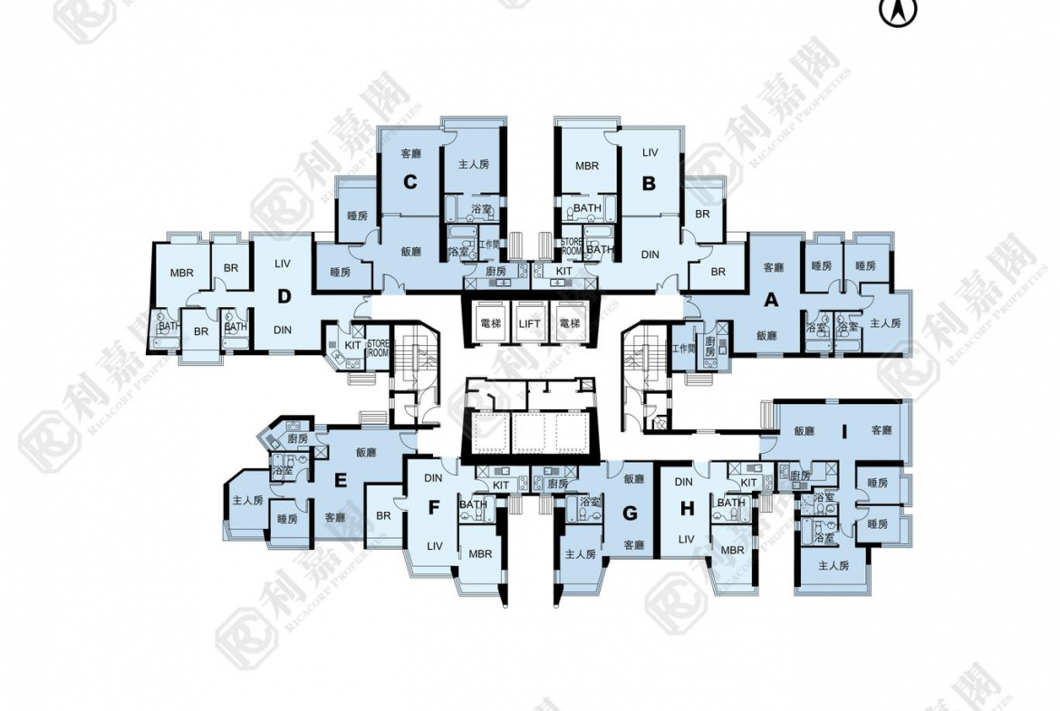 藍天海岸 1期 1座 - 28NTS – 香港北部都會區