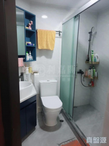 17713694558544427a-ccba-4324-9cd8-caeff278b66d.jpeg 映灣園 2期 映濤軒 8座 - 28NTS – 香港北部都會區