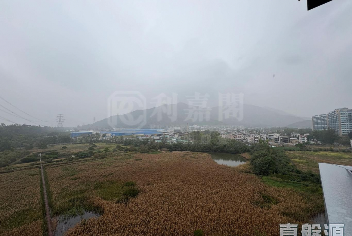 峻巒 1C期 PARK YOHO SICILIA 1A座 - 28NTS – 香港北部都會區