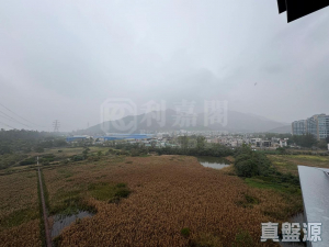 1771369696c7e031fb-4528-417d-9bc9-73127ea18f54.jpeg 峻巒 1C期 PARK YOHO SICILIA 1A座 - 28NTS – 香港北部都會區