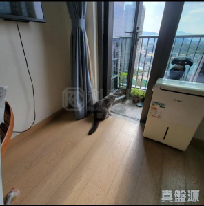 177136973895dd2813-876e-4339-872d-be99dd7a09c6.jpeg 朗城滙 3座 - 28NTS – 香港北部都會區