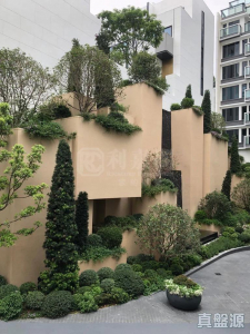 17713752073ea94efc-e201-4bcf-a052-f294d8564fe8.jpeg THE CARMEL - 28NTS – 香港北部都會區